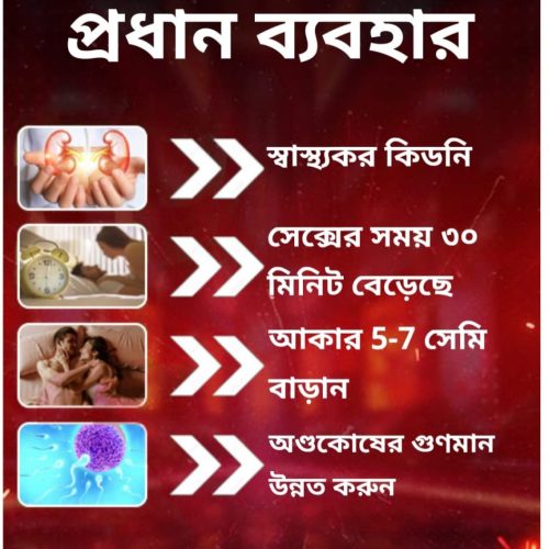 WhatsApp-Image-2025-01-21-at-12.32.39-AM-1-944x1024-1.jpeg